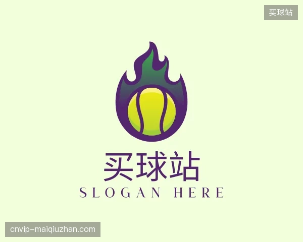 了解买球站官网